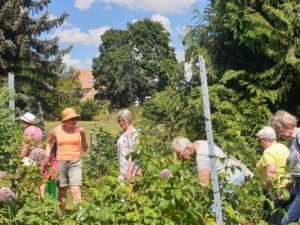 Tag der offenen Gartentür - Frauenbundfrauen führen uns durch ihre offenen Gärten